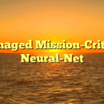Managed Mission-Critical Neural-Net