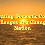 Navigating Domestic Political Challenges in a Changing Nation