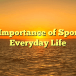 The Importance of Sports in Everyday Life